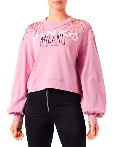 Pinko Ceresole Sudadera Logo and Cities Camisa Henley