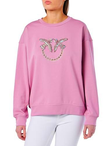 Pinko Nelly-Sudadera con Logotipo de Birds Bordado + Tachuelas Camisa Henley