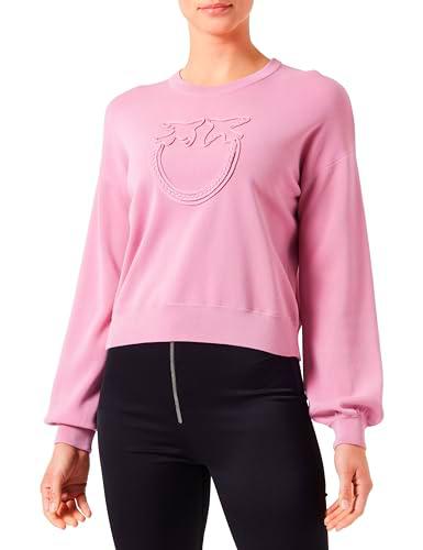 Pinko Anchoa Camiseta Afeitada Efecto Sudadera Técnica Camisa Henley